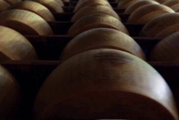 Parmigiano Reggiano, i consumatori premiano anche il 40 Mesi