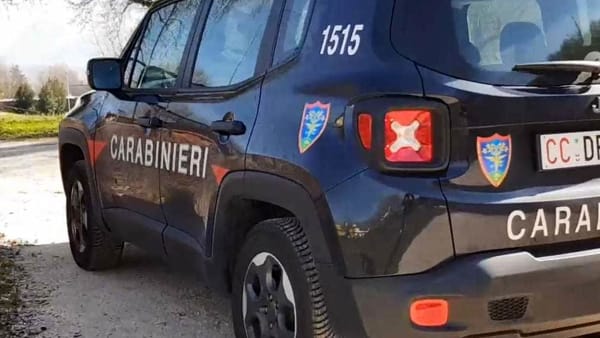 I Carabinieri Forestali sequestrano passaporti equini a Rapolano e Ferrara