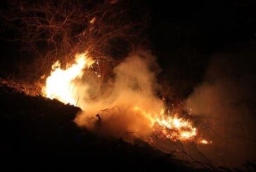 Da Coldiretti il vademecum per limitare gli incendi boschivi