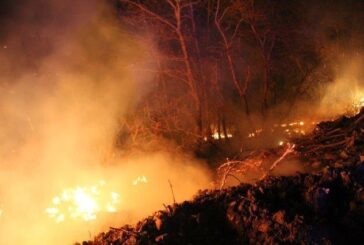 Incendi boschivi: accordo da 1,8 milioni con volontari, Forestali e Vigili del fuoco
