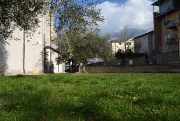 Rapolano: via al crowdfunding per riqualificare il cortile della biblioteca comunale