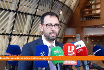Pac, Patuanelli "Serve un regime transitorio"