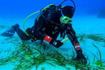 Tutela dei mari, al via il progetto "Save the wave" di E.ON e Ioc-Unesco