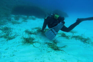 Tutela dei mari, prende il via da Palermo il progetto "Save the wave"