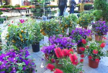 Siena in fiore tornerà con i due appuntamenti consueti in primavera e in autunno