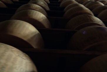 Torna 'Identità di Formaggio', Parmigiano Reggiano protagonista