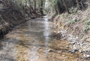 Cb6: ripristinate le sponde del Malena