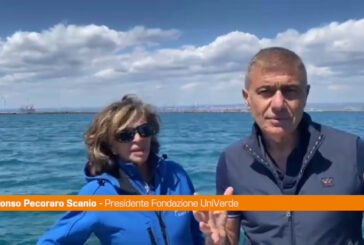 Pecoraro Scanio "A Taranto i delfini meraviglia della natura"