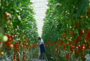 Agroalimentare, bando da 1,2 miliardi
