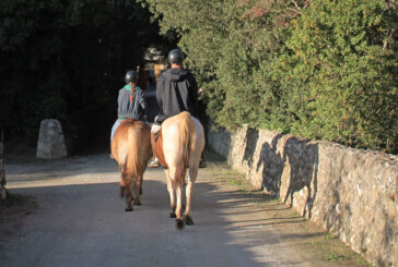 Strade di Siena: sul portale gli itinerari a cavallo