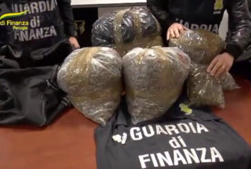 Sequestrati a Perugia 24 kg di marijuana, arrestato albanese