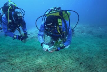 Da Marevivo una campagna per proteggere e ripiantare le foreste marine