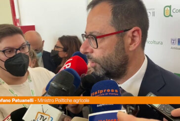 Patuanelli "Sul prezzo del grano fenomeni speculativi"