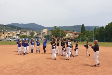 Baseball giovanile: i risultati del weekend