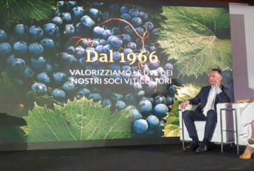 Vino, Caviro punta sulla sostenibilità