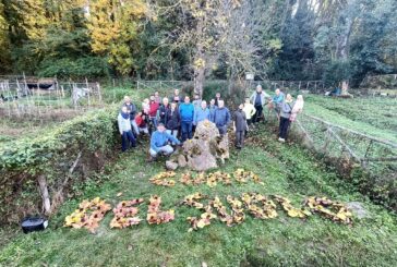 Orti urbani: a San Miniato nuovi spazi a disposizione