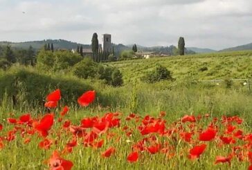 Tenuta Perano acquista i vigneti intorno alla Pieve di Spaltenna