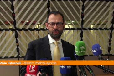 Ue, Patuanelli "Serve un recovery fund per l'energia"