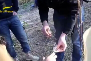Spaccio droga a Rogoredo, sequestro a Lodi di 450 mila euro