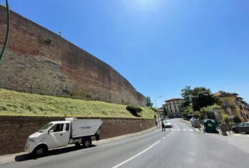 Taglio dell’erba e recupero di un tiglio: al lavoro le squadre del Comune
