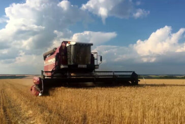 Arriva il bonus agricoltura, domande dal 20 settembre