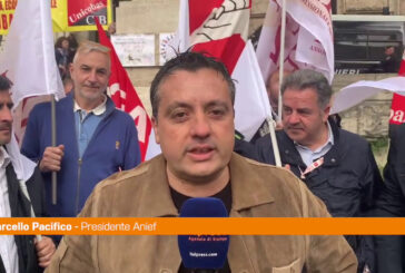 Scuola, Pacifico "Il Parlamento cambi la riforma"