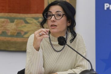 Dadone "Non demonizzare Rdc ma appesantire buste paga"