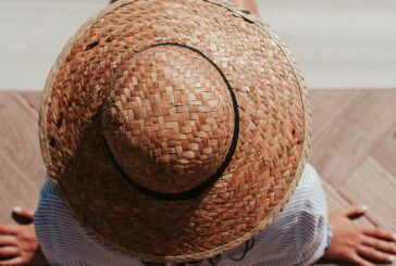 Estate fa rima con zanzare, oltre 70 specie in Italia