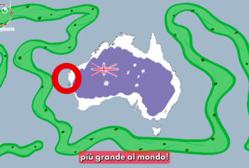 Australia, trovato l'organismo più grande del mondo