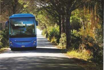 Dal 17 giugno i Mare Bus Tiemme da Siena, Poggibonsi, Chianciano, Arezzo e Firenze