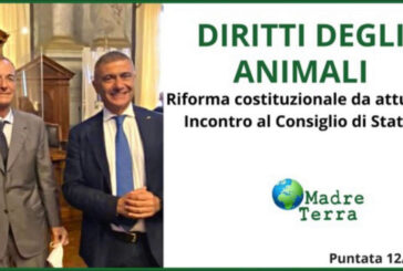 Madre Terra – Diritti degli animali