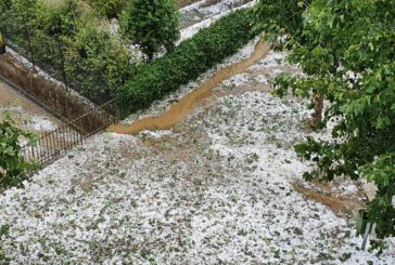 Grandinata eccezionale in Valdichiana: ko vigneti e raccolti