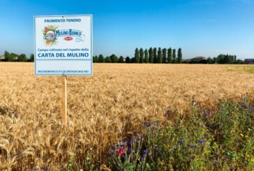 Barilla, continua a crescere l'impegno per la sostenibilità