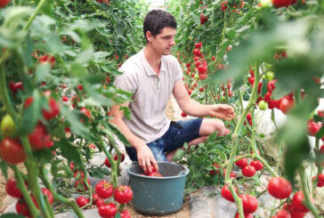 Agroalimentare, nel primo trimestre balzo Pil +6,2%