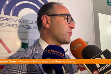 Regioni chiedono al Governo intervento urgente su emergenza cinghiali