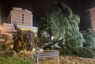 Maltempo in tutta la regione: 25 interventi dei Vigili del Fuoco a Siena