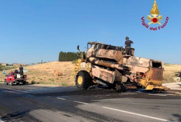 Mietitrebbia a fuoco a Pienza