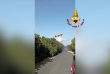 Incendio al Parco nazionale del Circeo,  rogo spento