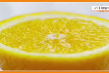 Sorsi di benessere – Una gustosa tisana fredda al gusto di meliloto