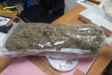 Blitz antidroga, 12 arresti tra Puglia, Sicilia e Basilicata