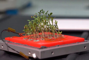 In orbita il primo micro-orto spaziale Made in Italy