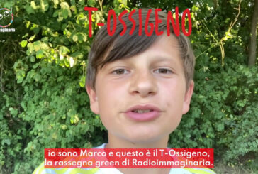Cambiamento climatico, qual è la situazione attuale?