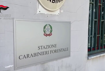 Rinvenuti rifiuti pericolosi tra coltivazioni nel napoletano