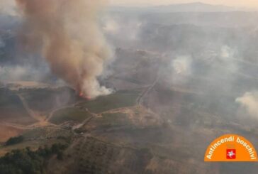 Allarme Coldiretti: “Incendi e grandinate nell’anno più caldo dal 1800”