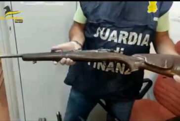 Napoli, scoperta piantagione con 1.200 piante di cannabis