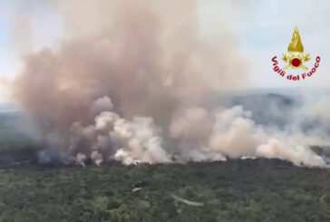 Vasto incendio devasta il Carso