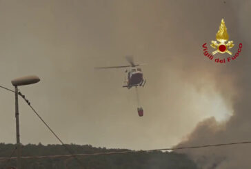 Pompieri, Protezione Civile e Forestale per incendio sul Carso