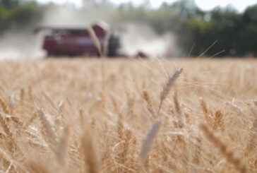 Agroalimentare, nel primo trimestre l'export supera i 6 mld
