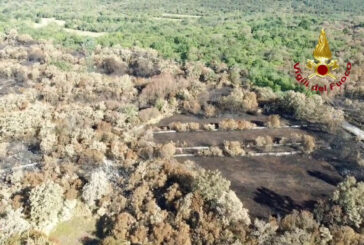 Ricognizione con i droni sul Carso goriziano dopo l'incendio