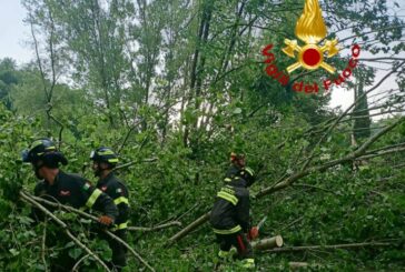 20 interventi dei Vigili del fuoco per danni da maltempo